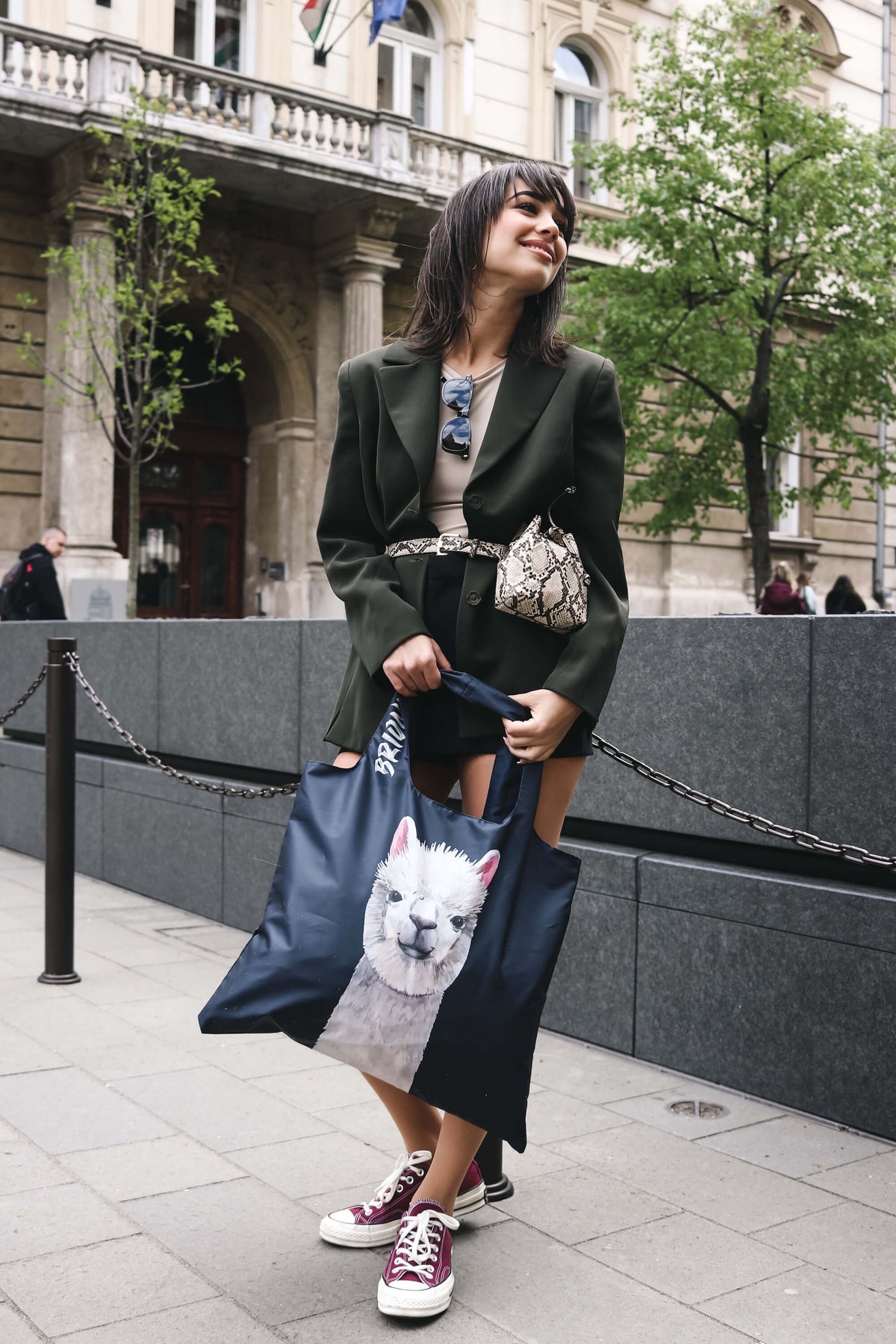 Lama Face Shopping Bag
