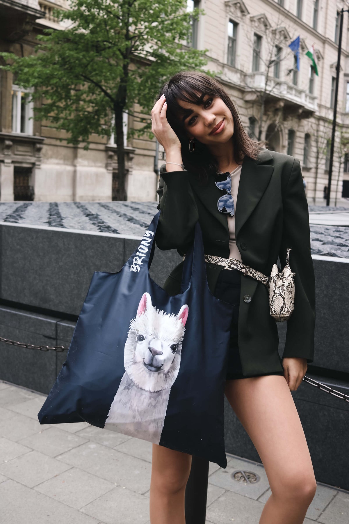 Lama Face Shopping Bag