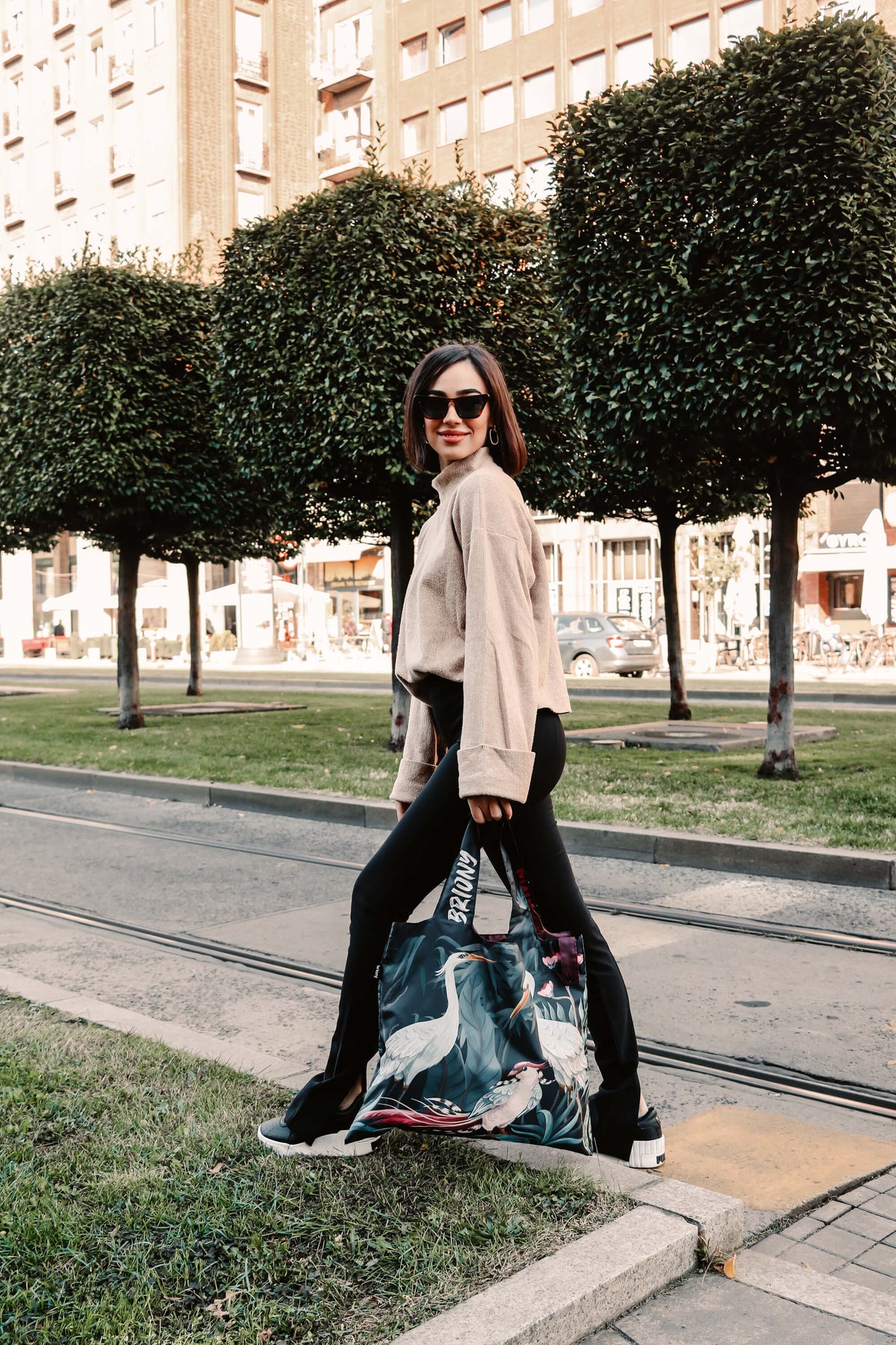 Crane Shopping Bag