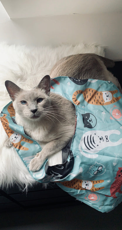 Cute Cats Shopping Bag